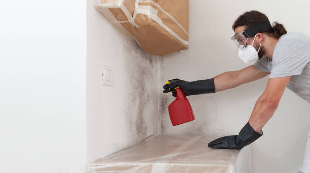 Professional Mold Cleanup technician working in Coinjock, NC