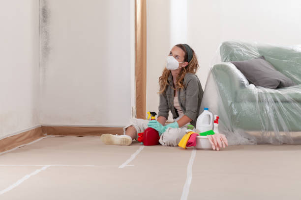 Reliable Mold Cleanup contractor in Coinjock, NC by Cheap Mold Removal